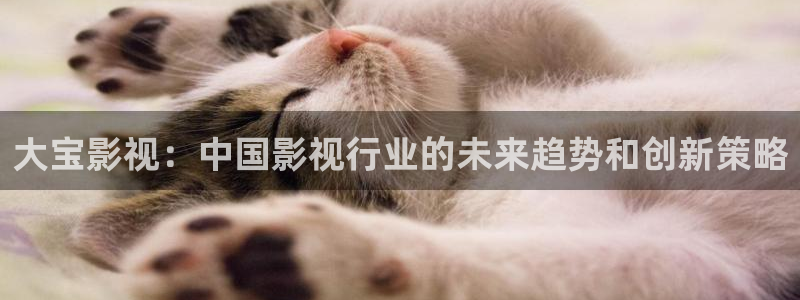 八戒八戒www电影在线观看