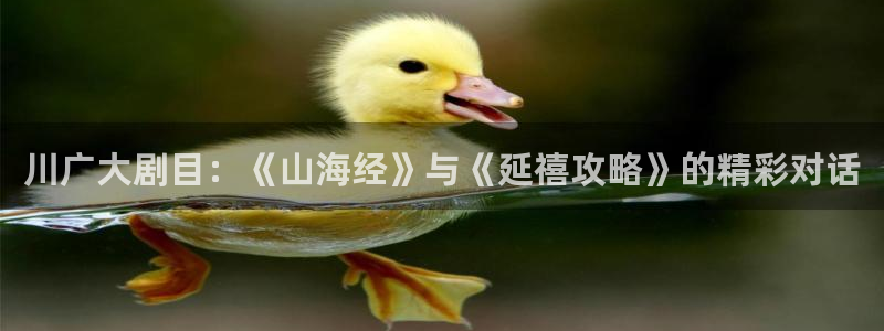 小毛驴免费观看八戒影视